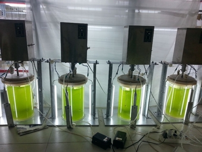 武漢軒明宇環(huán)保科技 創(chuàng)新驅(qū)動(dòng)，鑄就綠色未來(lái)——環(huán)保設(shè)備及裝置的研發(fā)之路